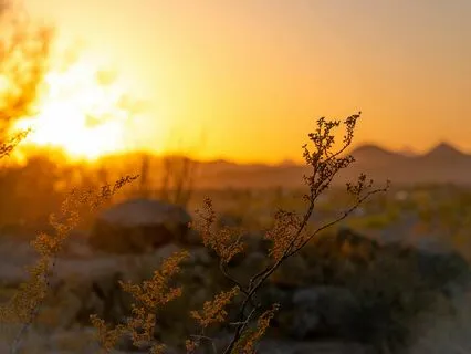 Being With And Transforming Limiting Beliefs