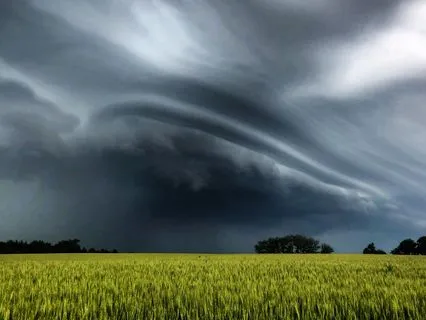 Being With Backdraft