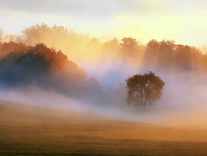 Being With Difficult Emotions 