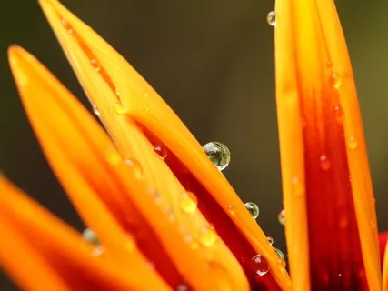 Being With Difficult Emotions