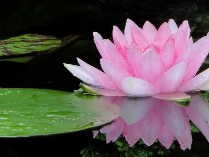 Being With Guilt Instead Of Running From It