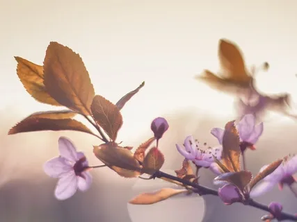 Being With Heartful Gratitude