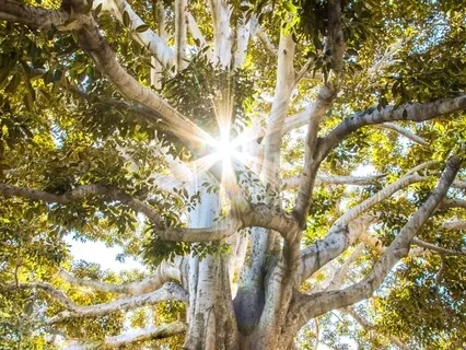 Being With The Body With Love