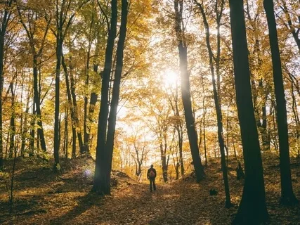 Being With The Breath