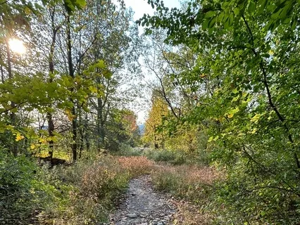 Being With The Natural Breath