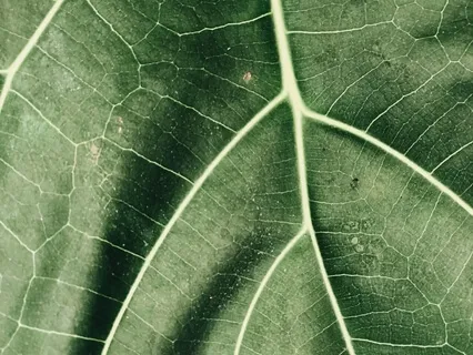 Being With Vulnerability