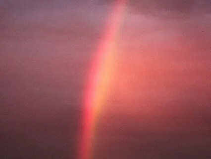 Being With What Is - Acceptance Of The Now