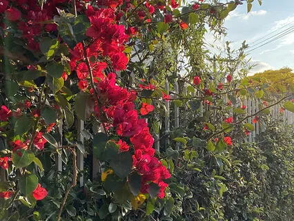 Being With What's Difficult