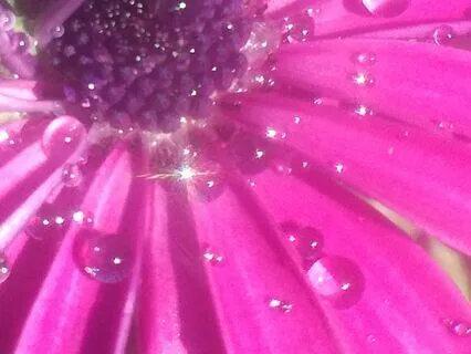 Beingness: Reading Of Poem By Candace Feldman