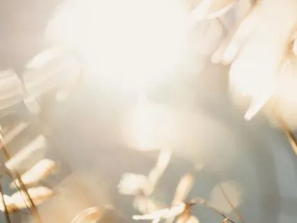 Beings Of White Light - Healing & Nervous System Safety