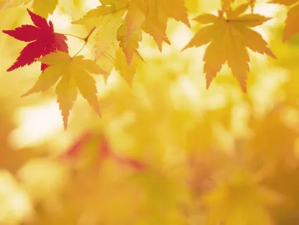 Belief (Affirmation)