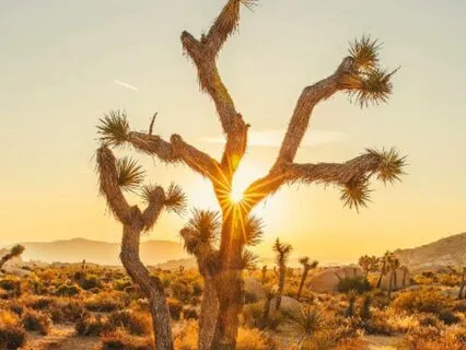 Believe In The Days You Cannot See: Peace Activation