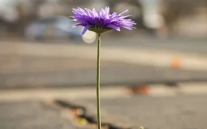 Believe In Yourself Morning Meditation 