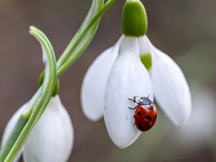 Believe In Yourself /Self-Worth : Time-Friendly Affirmations