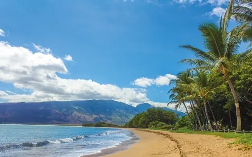 Believe Them To Be True