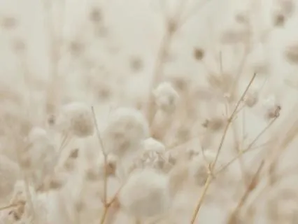 Belly Breathing For Calm And Relaxation