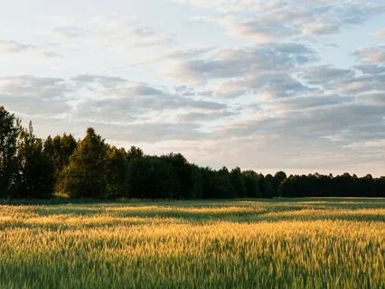 Belly Breathing Practice For When You Feel Scattered