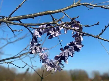 Belly Breathing Practice