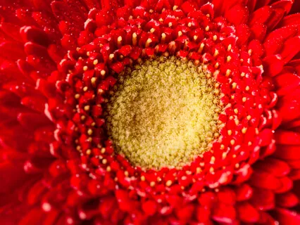 Belly Focus Meditation