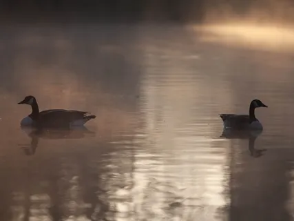 Belonging On This Earth