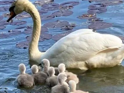 Christian Devotional: "Belonging"