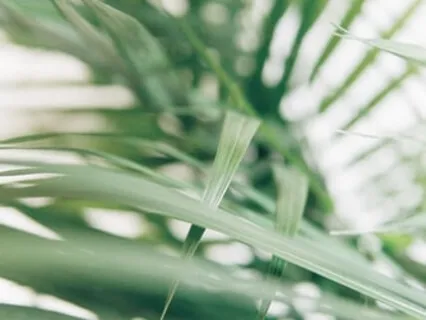 Beloved Body Practice