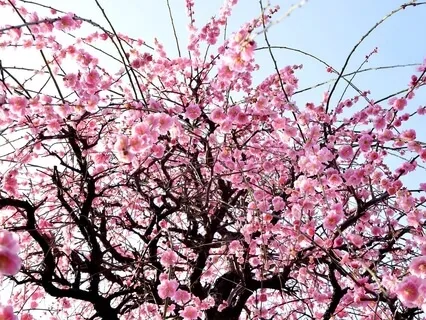 Beloved - Meditating On Your Belovedness