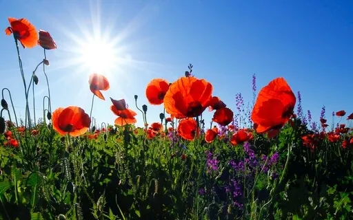 Beltane: Dancing With Joy