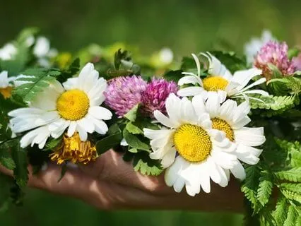 Beltane Meditation: Welcoming The Fire Of Renewal