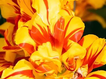 Beltane: The Inner Light You Carry Forward