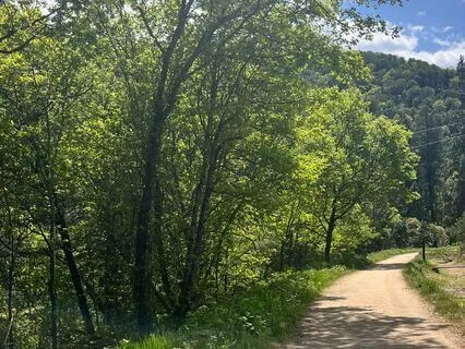 Beltane Walking Meditation: Open Awareness