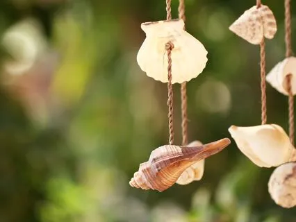 Beneath Celestial Wave