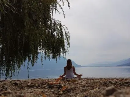 Beneath The Bliss Tree