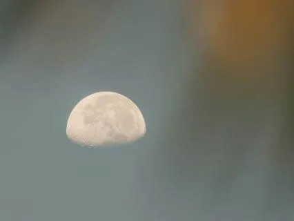 Beneath The Drum Moon | The Dreaming