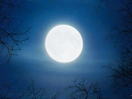 Beneath The Hidden Moon Story