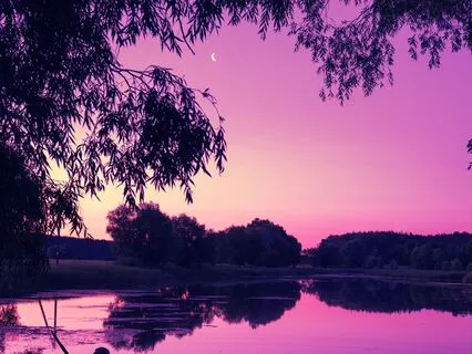 Beneath The Moonlit Sky | Healing Flute Sleep Music