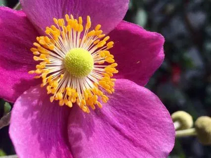 Beneath The Noise: Resting In Your Wise Centre