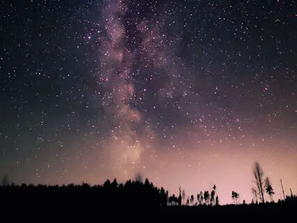 Beneath The Starlit Pines