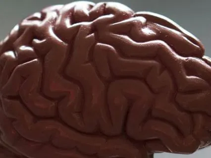 Beneath The Surface: A Complete Scientific Meditation