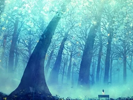 Benefits Of Forest Bathing