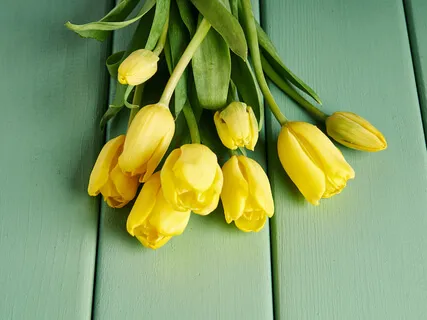 Benefits Of Meditation