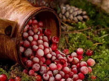 Berry Picking By The Bramble Hedge