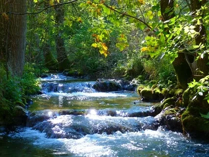 Beruhigende und entspannende Naturgeräusche: Bachlauf in der Vulkaneifel