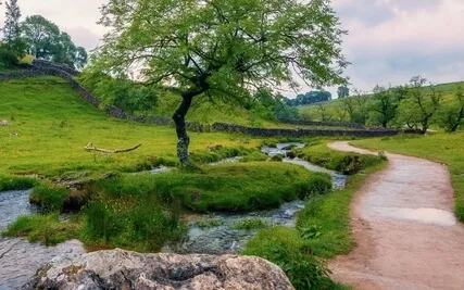 Beside A Stream: A Non-verbal Meditation