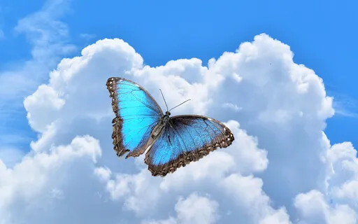 Beside Me Always Piano Meditation