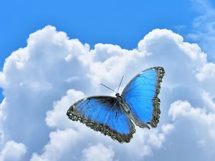 Beside Me Always | Song Medley