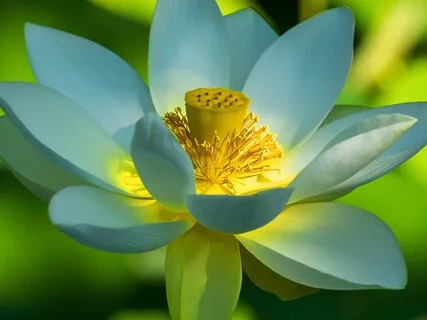 Best Life U Podcast - 5 Dimensions Of Personal Growth-Mental Part 1