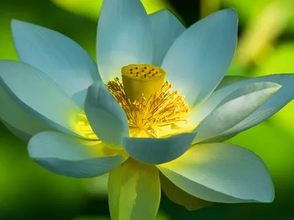 Best Life U Podcast - 5 Dimensions Of Personal Growth-Mental Part 2 