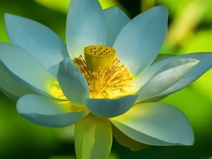 Best Life U Podcast - 5 Dimensions Of Personal Growth-Mental Part 3