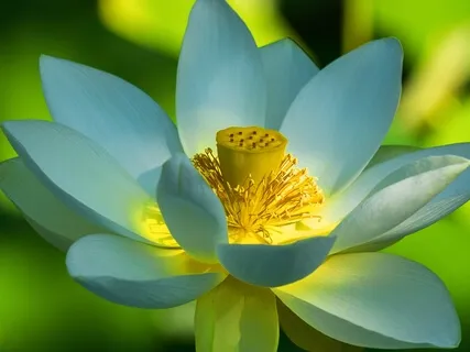 BEST LIFE U Podcast - All Things Are Within Yourself